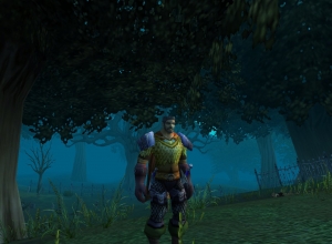 Screenshot numéro 30